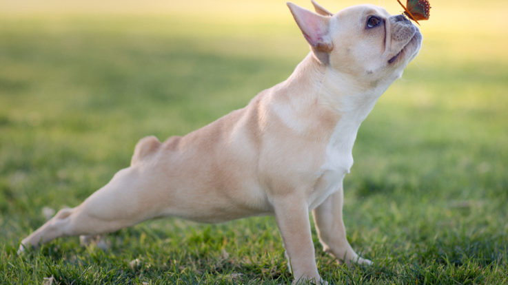 Spring is Right Around the Corner! It’s Time To Get Your Air Conditioning Ready